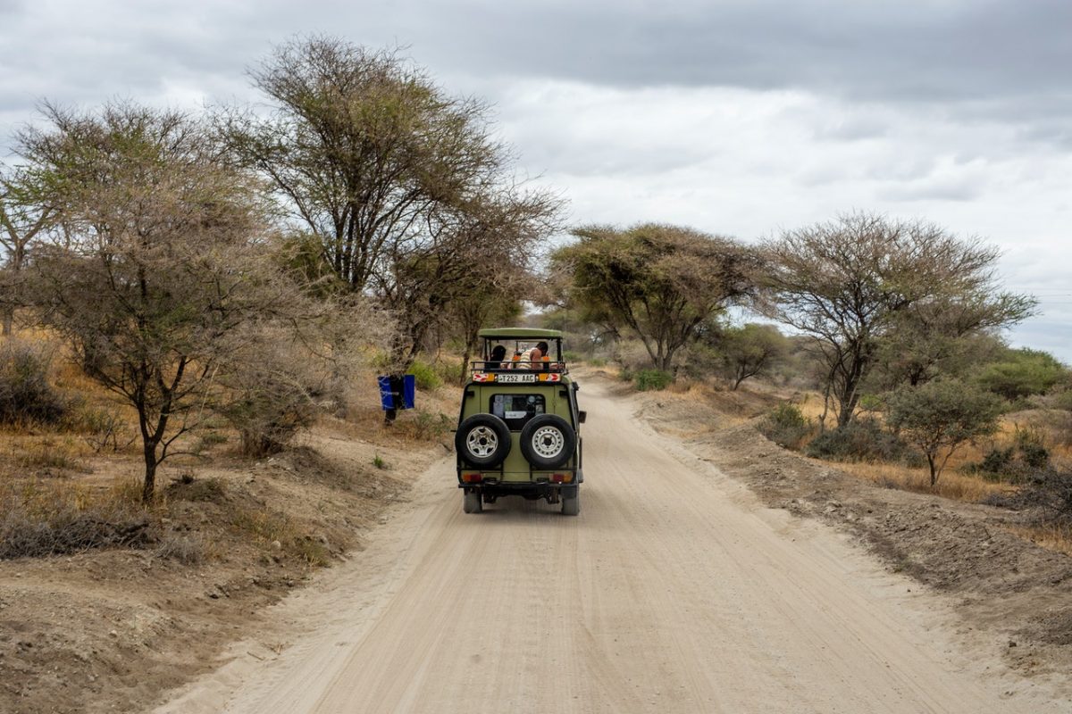 Rovine di Mnarani (Kenya)