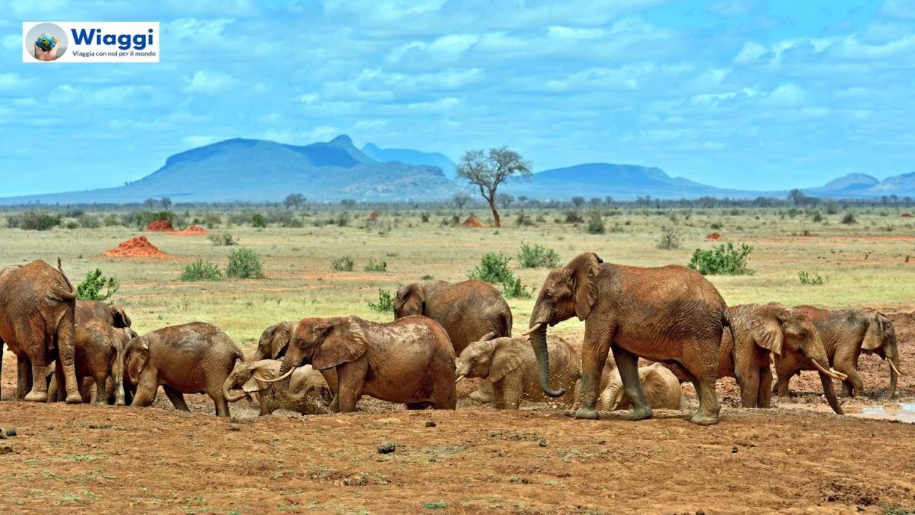 Tsavo East National Park