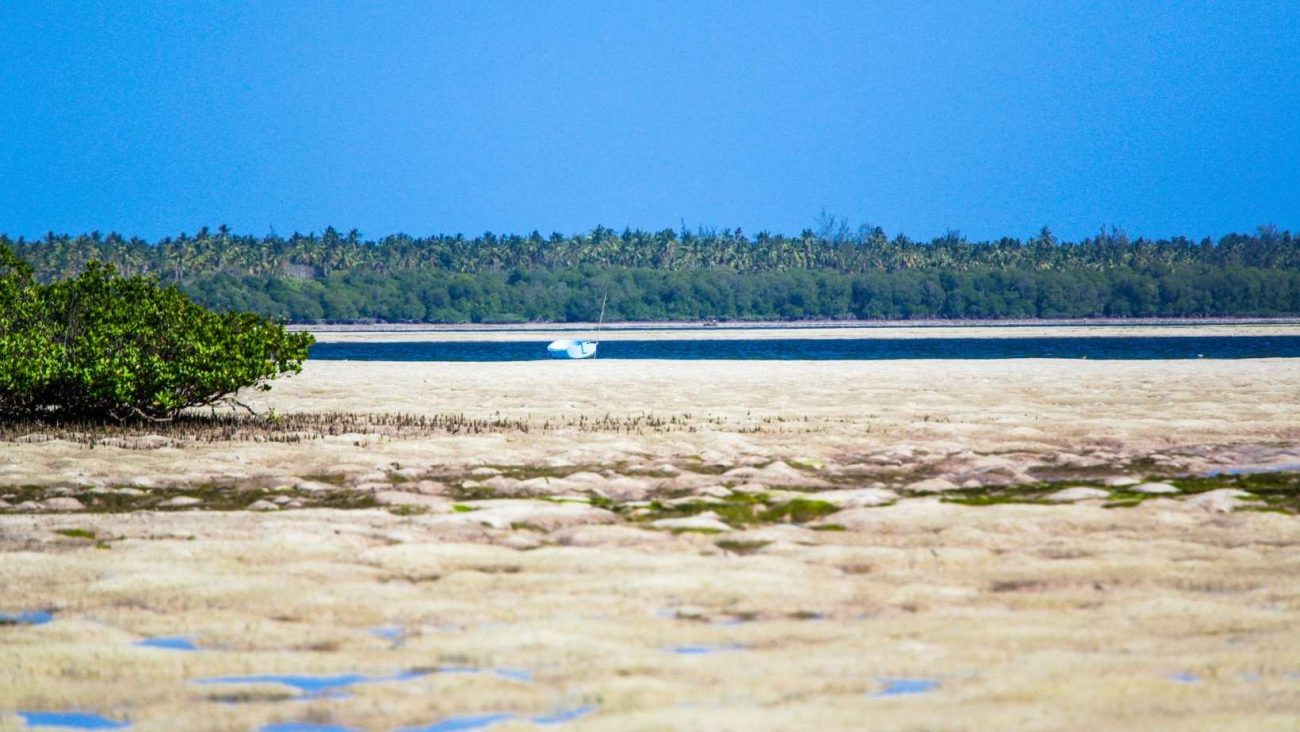 Mida Creek (Kenya)