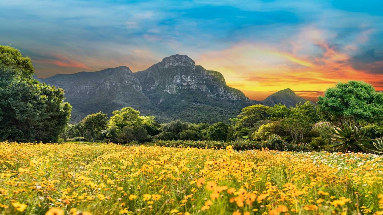 Giardino Botanico Nazionale Kirstenbosch